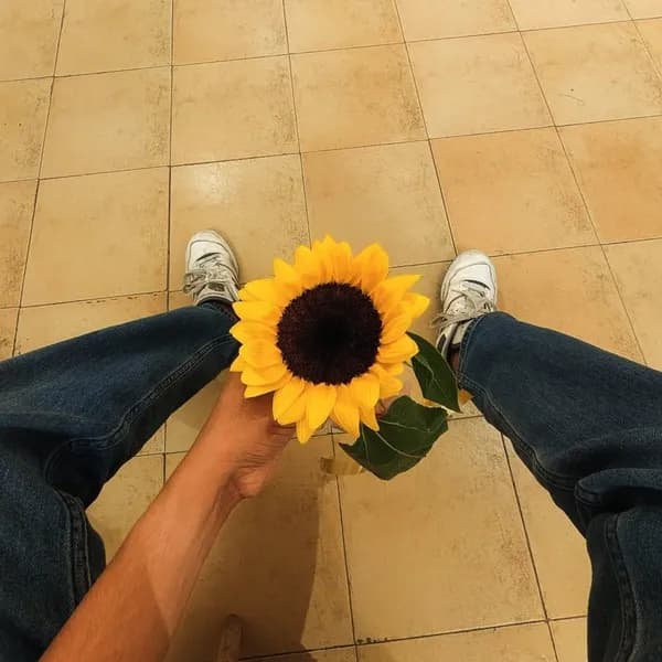 The theory is that we instinctively gather pieces of the sun to give to the people who bring out the warmest parts of our own nature. 🌻☀️