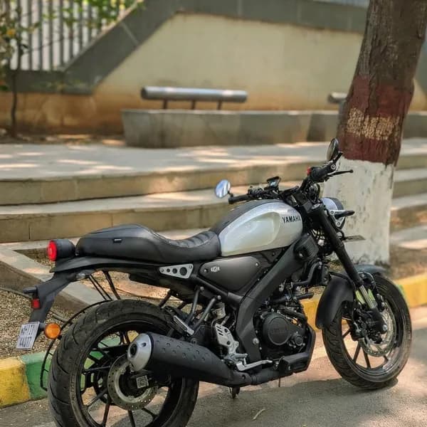 A sleek silver and black Yamaha XSR motorcycle is parked on an asphalt surface, set against a backdrop of concrete steps, a tree, and a blurred modern building.